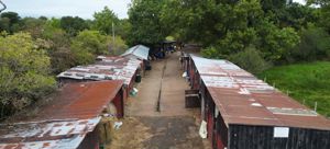 Photo 1- click for photo gallery